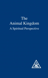 The Animal Kingdom, A Spiritual Perspective - Image