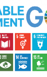 World Goodwill Supporting the SDGs card - Image