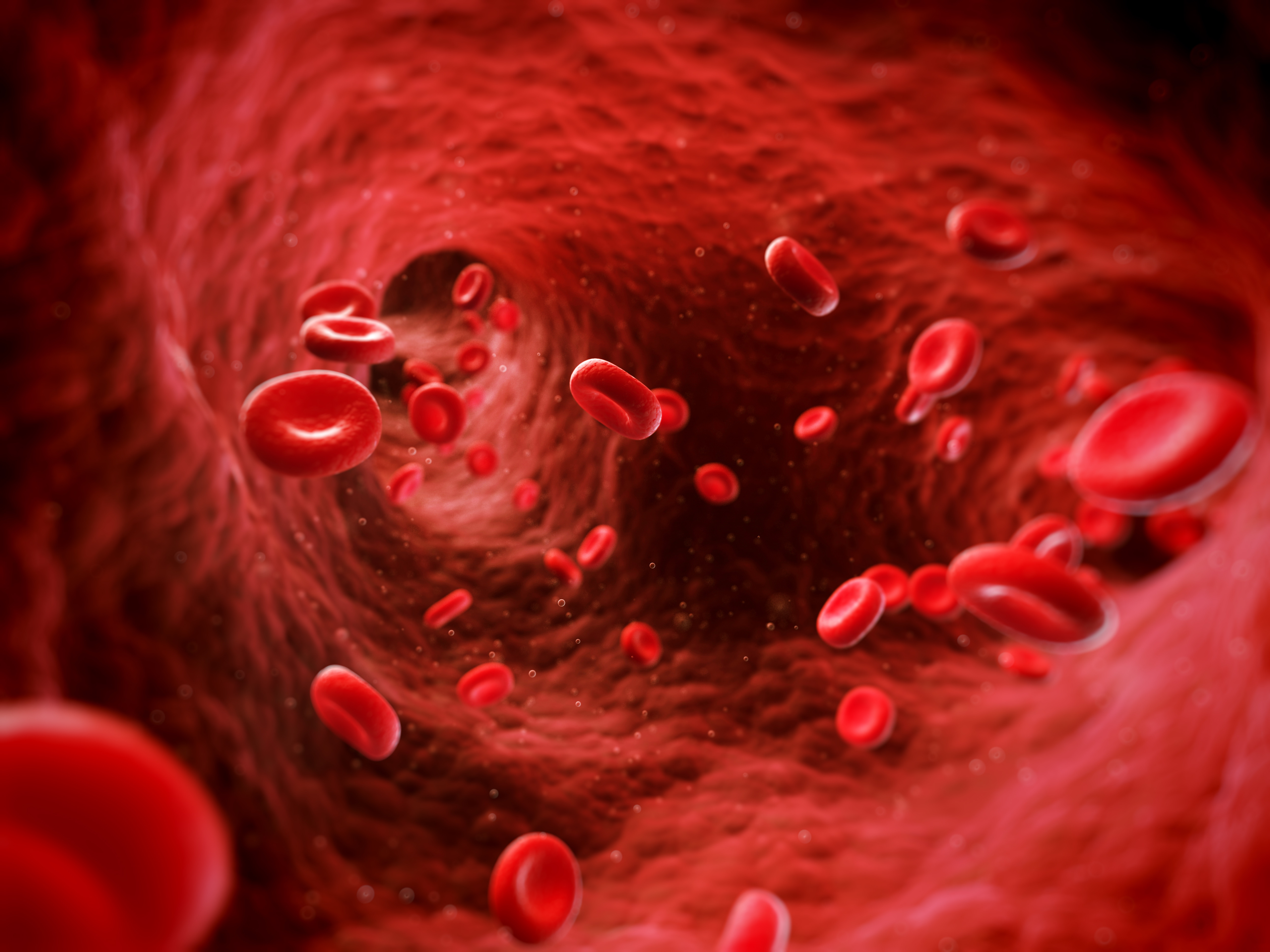 Image - human bloodstream